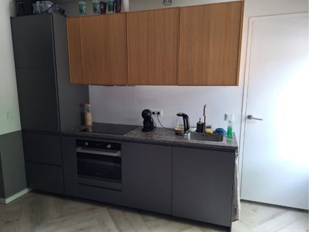 Te huur: Appartement Wilhelminapark in Tilburg - Photo 3