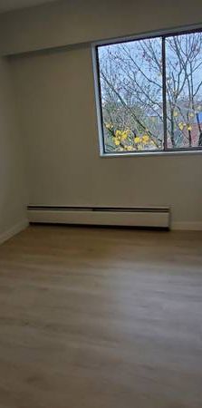 1-Bedroom Apartment-Newly Renovated: - Photo 1