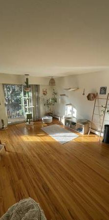 Short Term- Room available in Specious and bright apartment - Photo 1