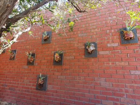 Craigieburn - Photo 4