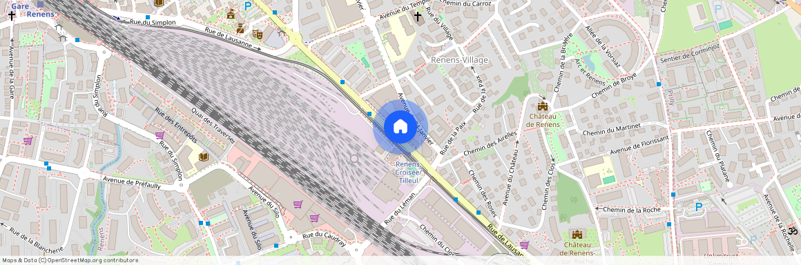1020, Renens VD, Rue De Lausanne, 49f