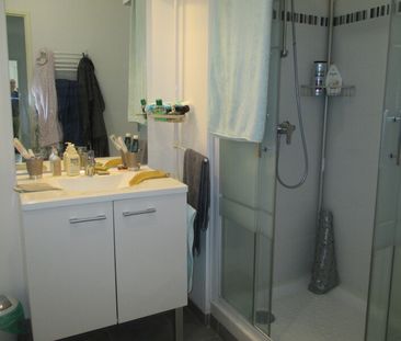 Location Appartement 3 pièces 60m² ST JEAN DE BRAYE 45800 - Photo 6