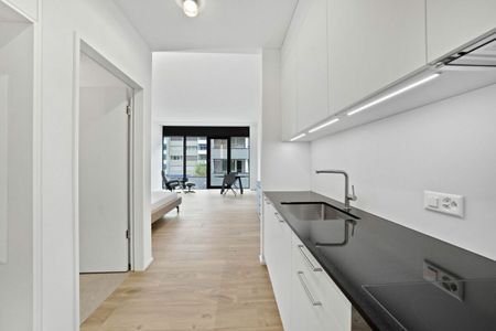 Furnished loft studio of 36 m2 on the 1st floor - Photo 2