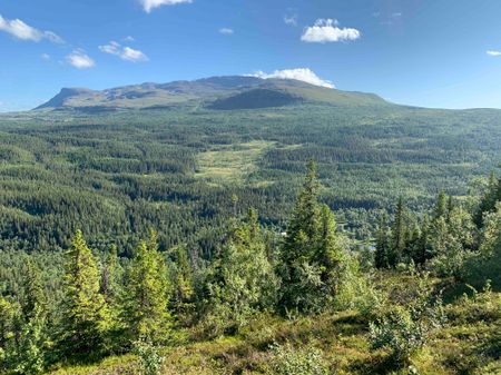 Huså Bygatan, Järpen - Photo 3