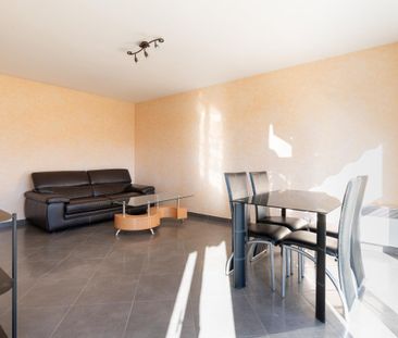 Location Appartement 1 pièce Meublé 44m² ANNECY 74000 - Photo 2