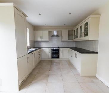 46 Todds Hill Park, Saintfield, Ballynahinch, BT24 7FB - Photo 5