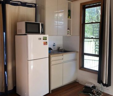 3 Blackwood Ave, Dulwich Hill, NSW 2203 - Photo 5