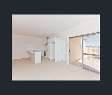2/223 Camborne Parkway, Butler WA 6036 - House For Rent | Domain - Photo 5