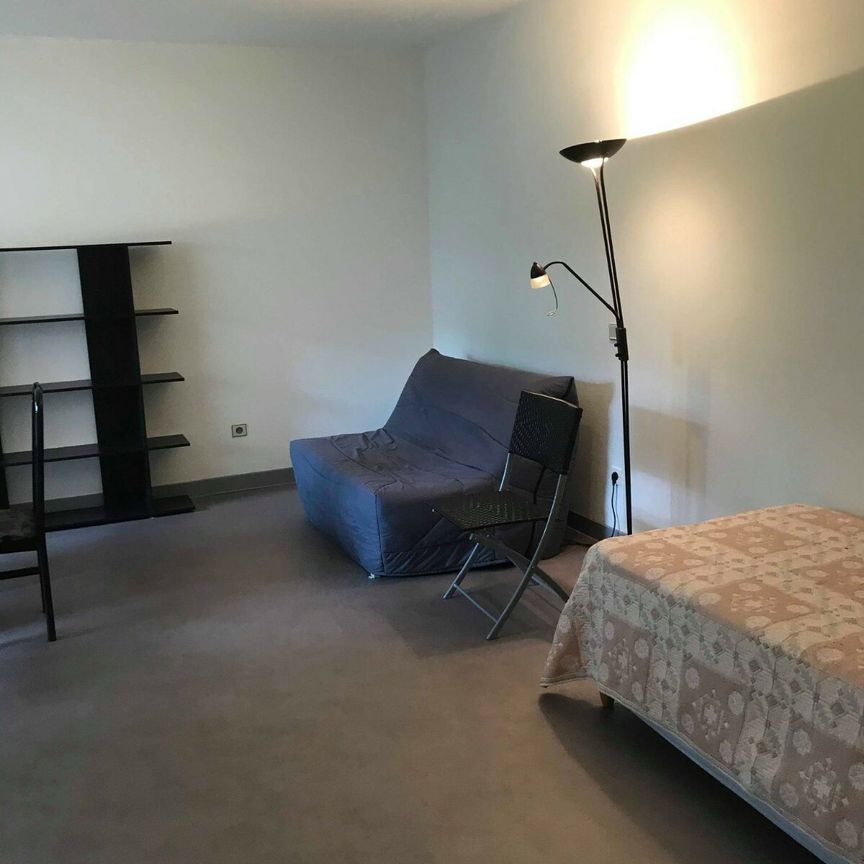 Location Appartement 1 pièce 38m² CAHORS 46000 - Photo 1