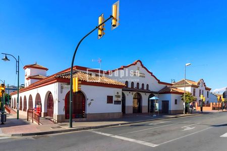 Chalet en alquiler en Calle de Juan Antonio Bardem, Huerta Nueva, Ciudad Jardín, Málaga - Foto 3