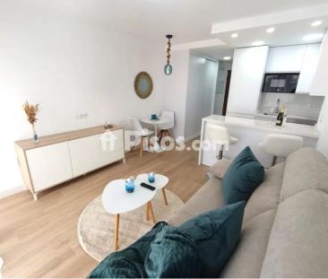 Estudio en alquiler en Serramar - Photo 3