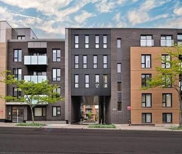 1 CH - 1 SDB - Montréal - $1,450 /mo - Photo 2