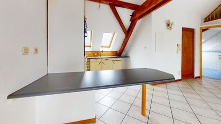 À louer : Charmant appartement 2 pièces à Mulhouse ! - Photo 2