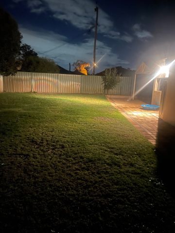 Dianella - Photo 5