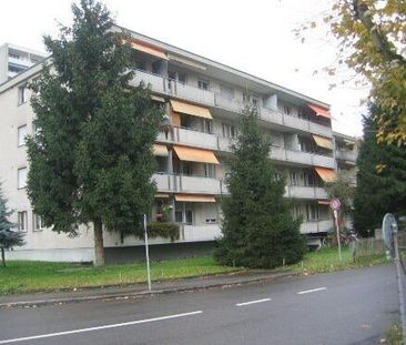 Small but good - Photo 2