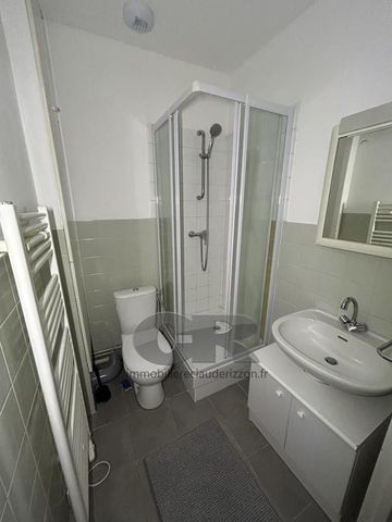 Location Appartement 1 pièce 19m² NANCY 54000 - Photo 5