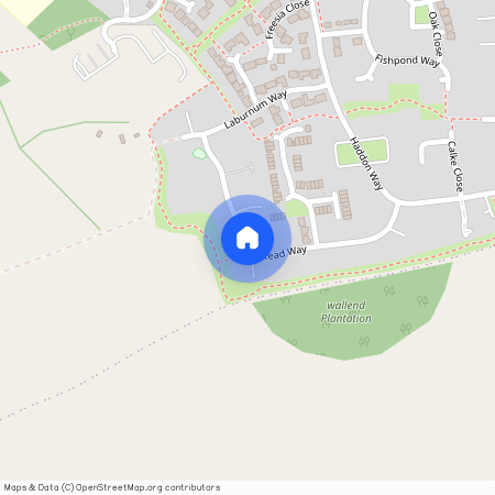 Corydalis Close, Loughborough, LE11