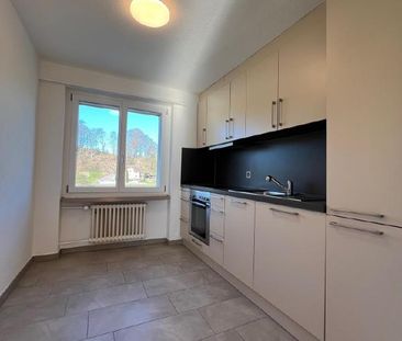Sonnengeflutete 4.5 Zimmer Wohnung im schönen Thurgau zu vermieten - Photo 6