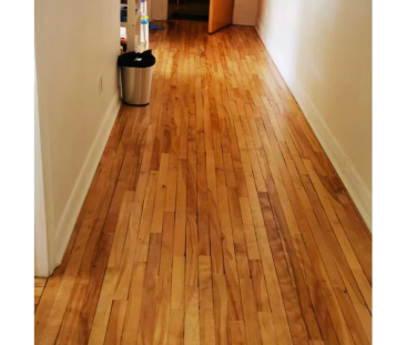 Appartement - B-10 Rue Desrochers - Photo 1