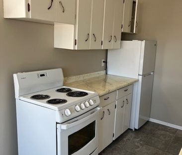 1 BDRM/1 BATH - 601 WILSON CRESCENT - Available MAR 1 - Photo 6