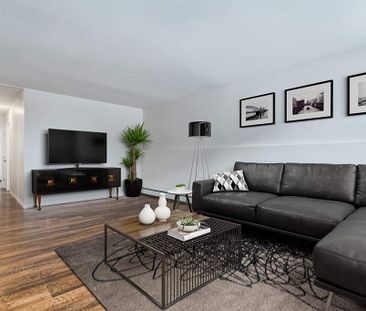 Renovated Suite - 2 Bedroom - Photo 2