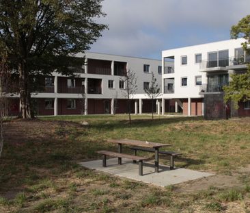 Appartement te huur in Sint-Niklaas - Photo 4