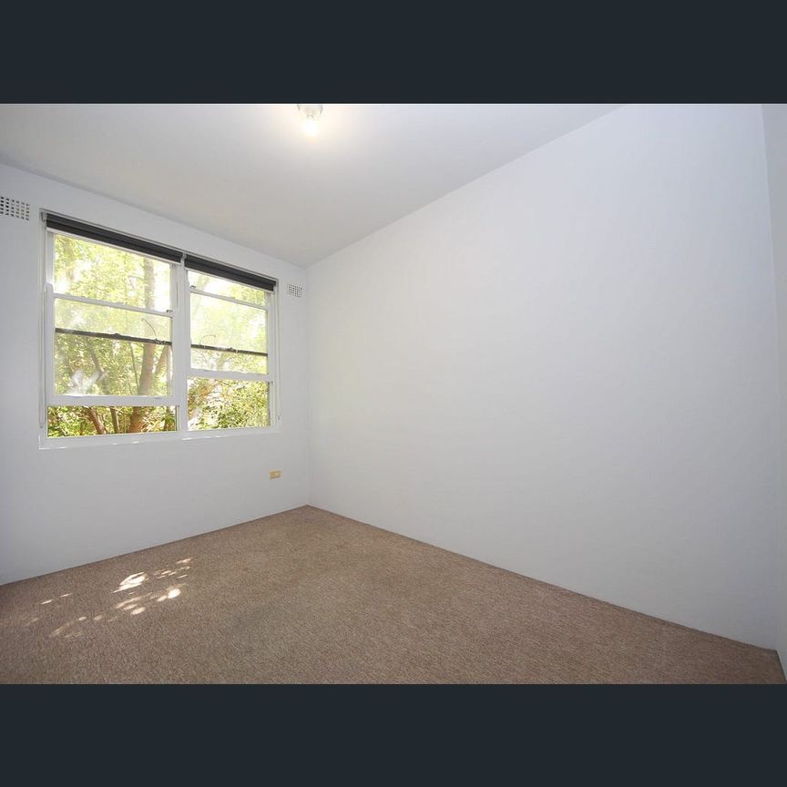 5/165 King Georges Road, Wiley Park, NSW 2195 - Photo 1