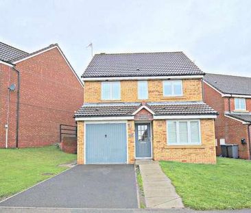 Rosecroft, Newfield, Pelton, DH2 - Photo 1