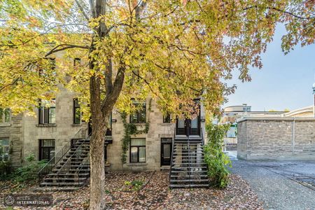 MP150 - Apartment Plateau Mont-Royal, Montreal - Photo 2