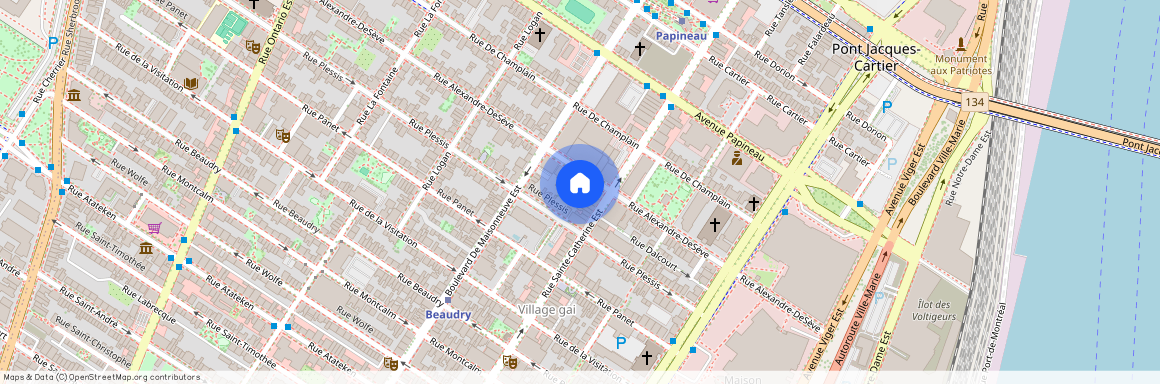 1422 Rue Alexandre-DeSève H2L2V6, Montréal