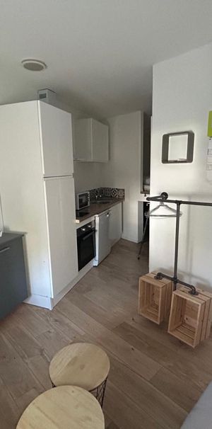 Location Appartement 1 pièce 16m² NANCY 54000 - Photo 1