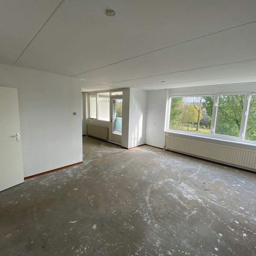 Appartement te huur: Cornelis Pronklaan 166 1816 NR Alkmaar - Photo 1