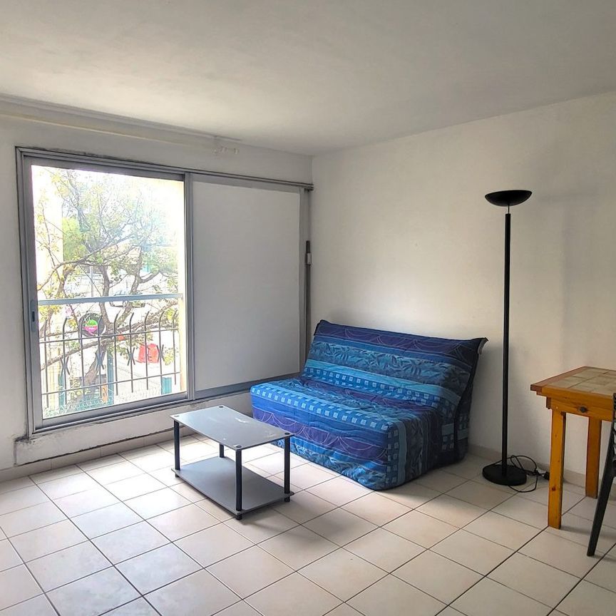 Location Appartement 1 pièce 19m² MONTPELLIER 34000 - Photo 1