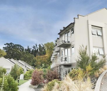 Superior Studio Complex for 2026 - Photo 5