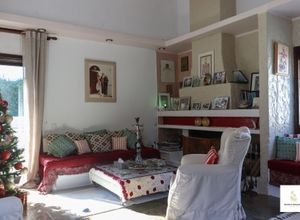 Μονοκατοικία για ενοικίαση - Δροσιά - Photo 1