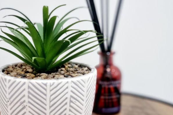 4 bedroom terraced house to rent - Photo 1