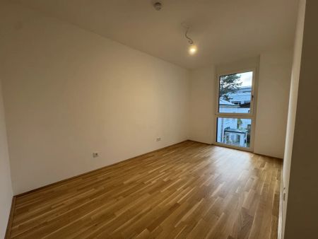 3-Zimmer Neubau! Angenehm, ruhige Lage nahe dem Riverside! JETZT ANFRAGEN! - Foto 2