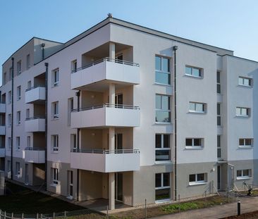 HOLLABRUNN XV/2 - Photo 1