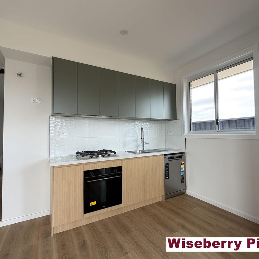 Charming brand new granny flat - Photo 1