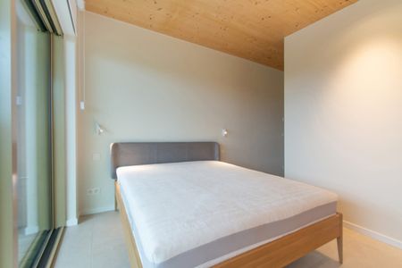 Tout savoir sur cet appartement à Anvers, à Anvers - Photo 5