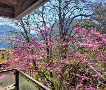 Lugano Loreto - Appartamento nel parco - Foto 6