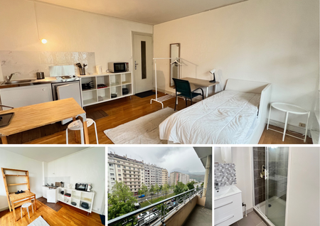 Location Appartement 1 pièce 26m² GRENOBLE 38000 - Photo 2