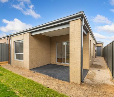 Modern Family Haven - Photo 2