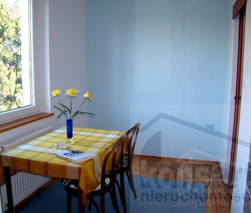 Dom wolnostojący, dla pracowników, parking - Photo 6