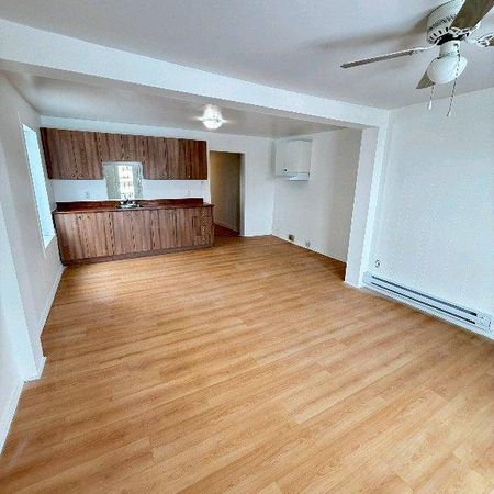 Beau 4 1/2 fraichement rénové à Sorel-Tracy - Photo 3