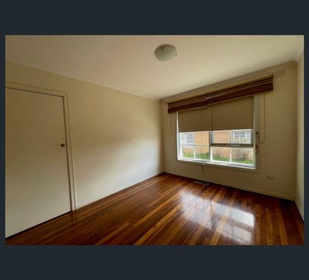 11/114 Shannon Street, Box Hill North, Vic 3129 - Photo 3