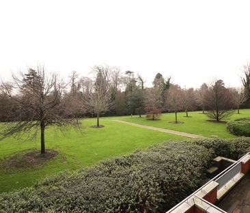 Cedar Lodge, Farmleigh Woods, Castleknock, Dublin 15, D15 K584 - Photo 4