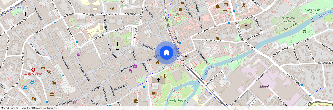 4. 3, Skomagerstræde 5, 5000, Odense C