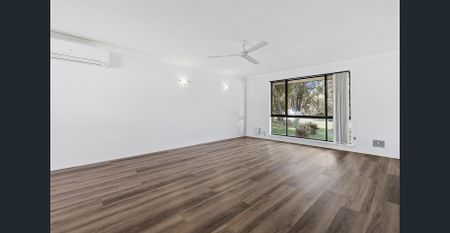 Fresh, Functional & Full of Potential - Available NOW - Photo 5