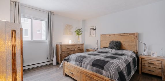 Pie XII Appartement 4 ½ à Louer Sainte-Foy / Sillery Juillet 2026 - Photo 2